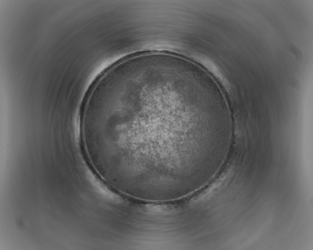 X0000111351032200907171138