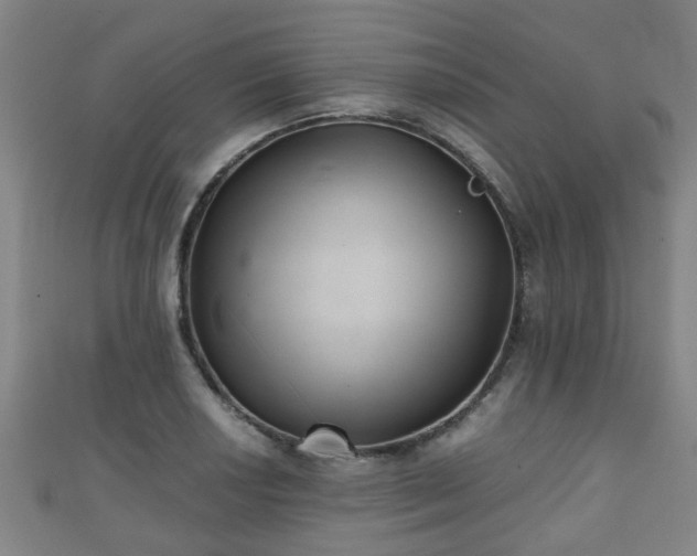 X0000111351034200907171138