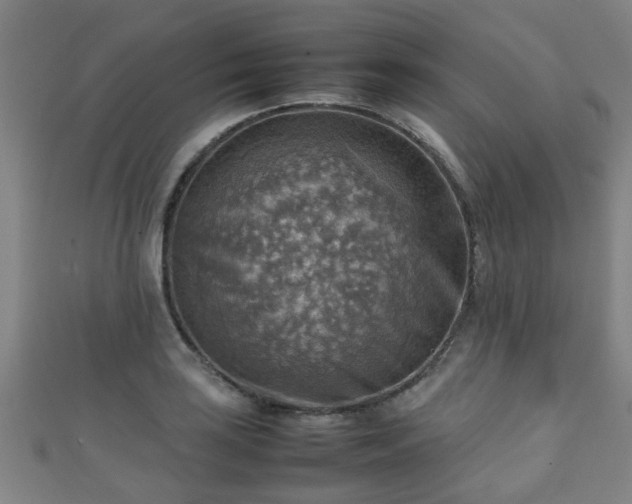 X0000111351035200907171138