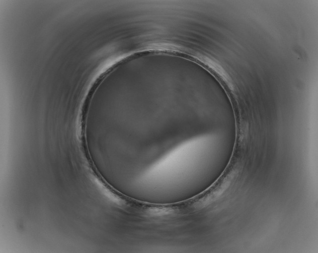 X0000111351037200907171138