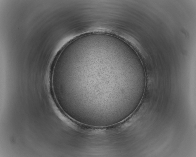 X0000111351038200907171138