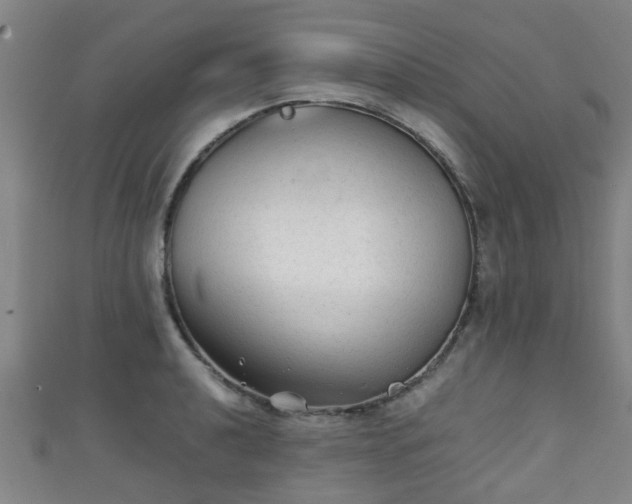 X0000111351040200907171138