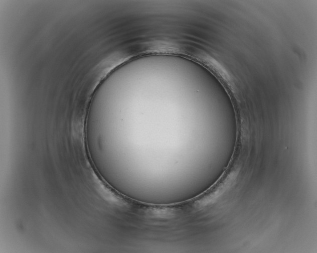 X0000111351041200907171138