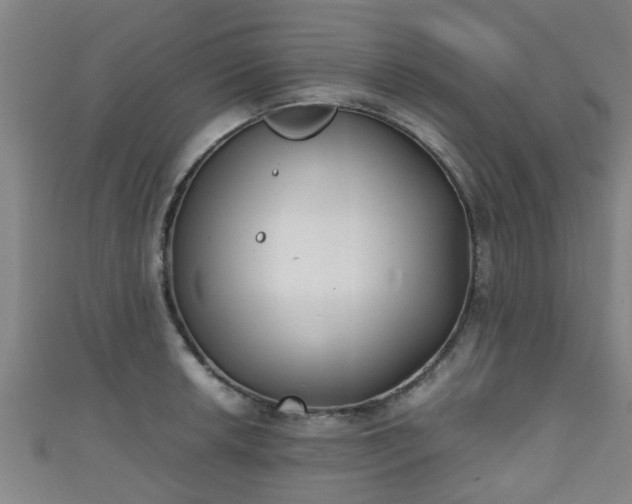 X0000111351042200907171138