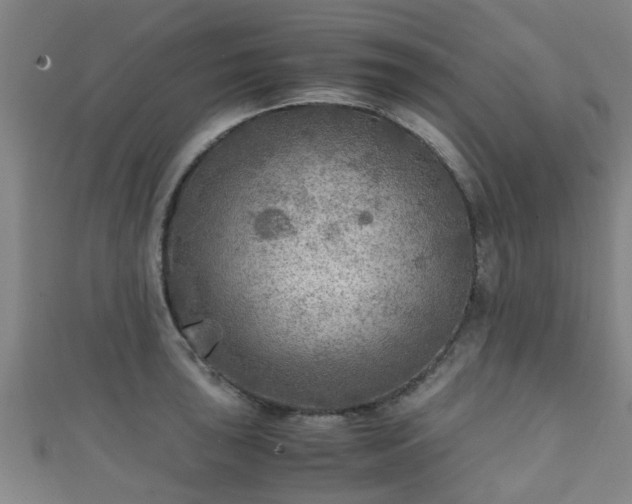 X0000111351043200907171139