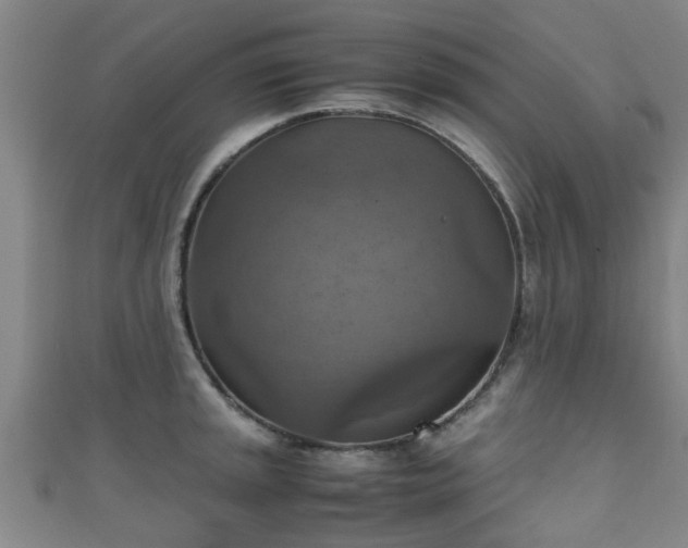 X0000111351045200907171139