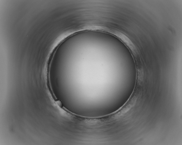 X0000111351046200907171139