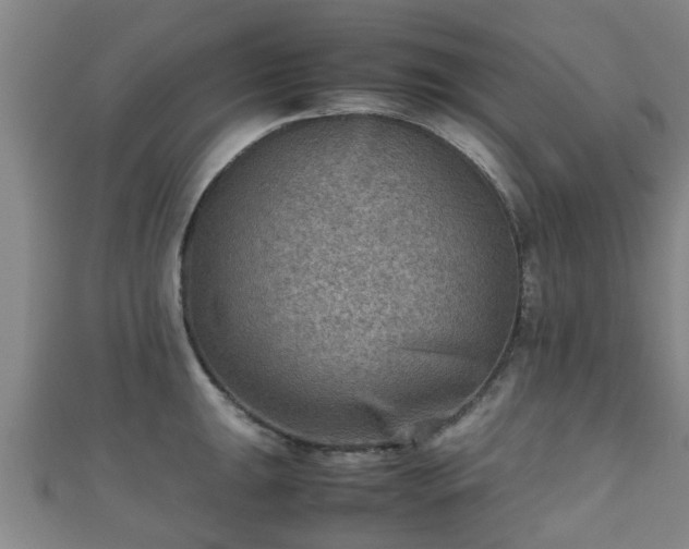 X0000111351047200907171139