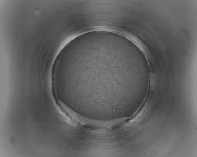 X0000111351048200907171139