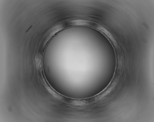 X0000111351049200907171139