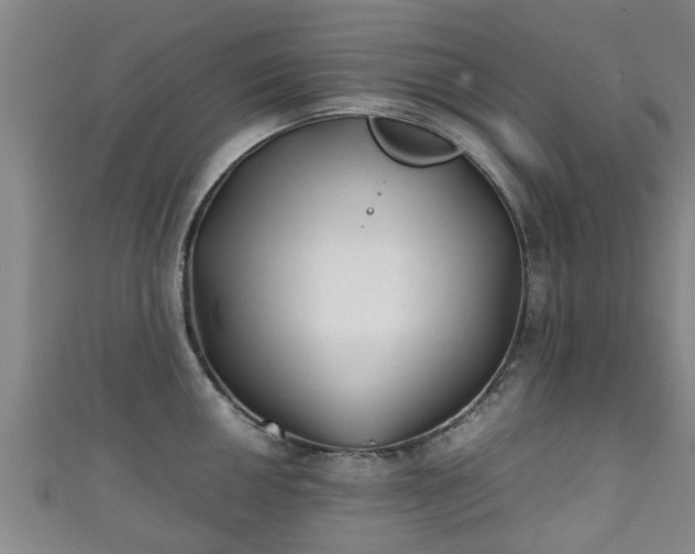 X0000111351050200907171139