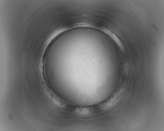 X0000111351051200907171139