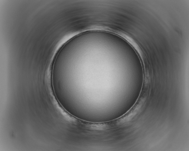 X0000111351053200907171139