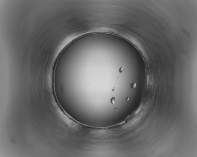 X0000111351054200907171139