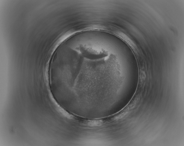 X0000111351055200907171139