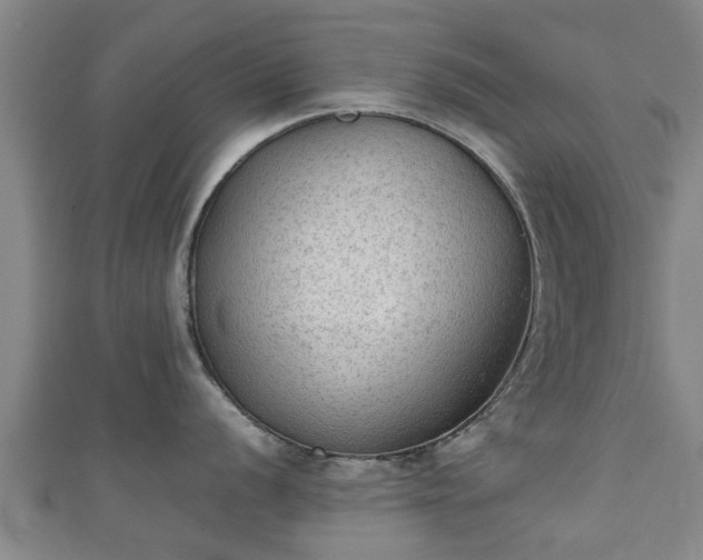 X0000111351056200907171139