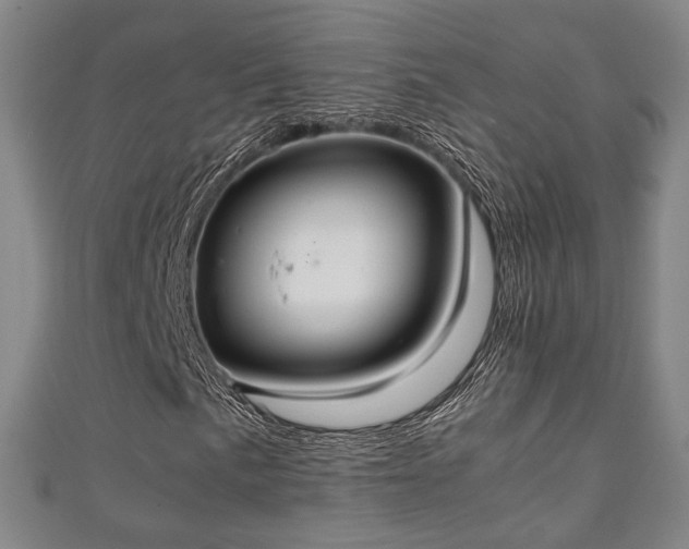 X0000111351057200907171138