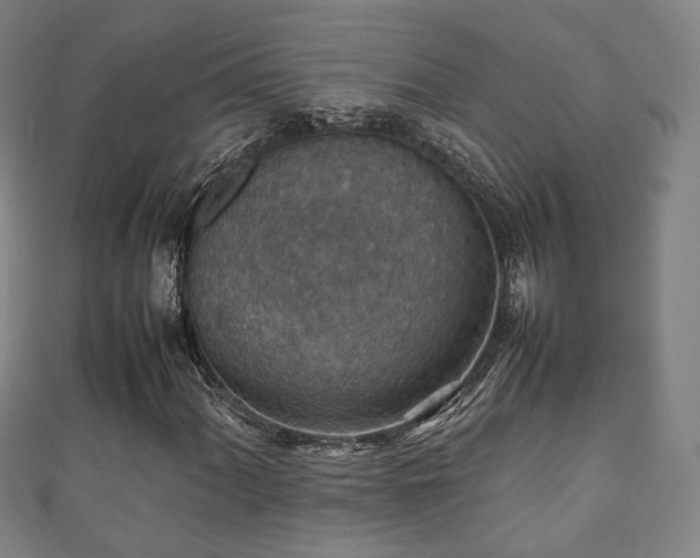 X0000111351060200907171138