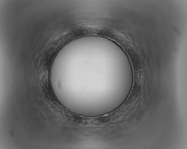 X0000111351061200907171138