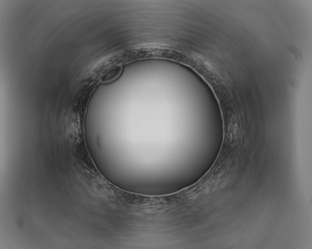 X0000111351062200907171138