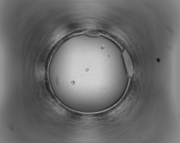 X0000111351065200907171138