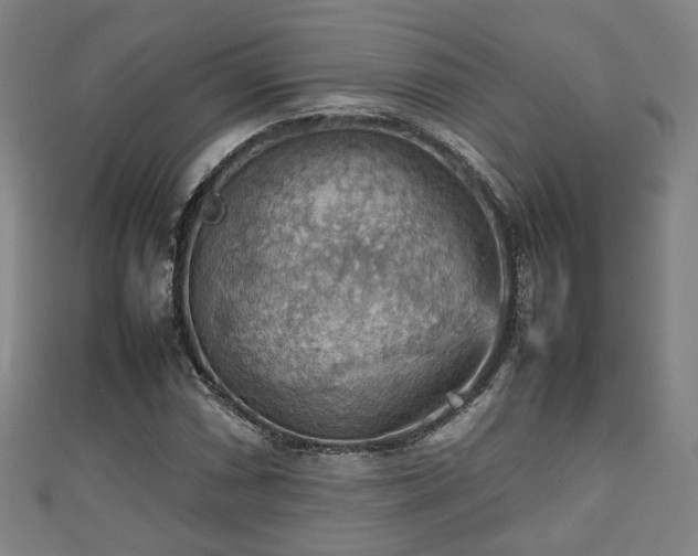 X0000111351066200907171138