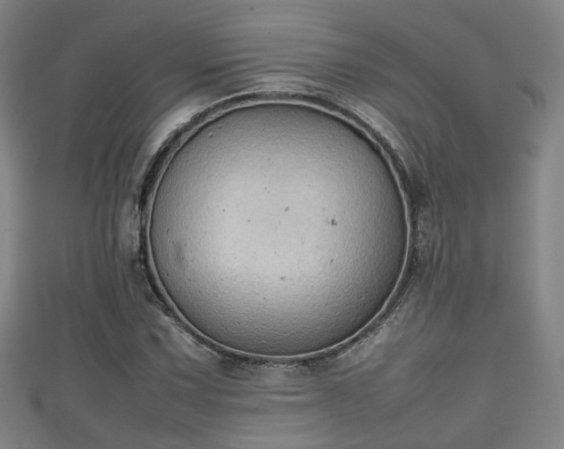 X0000111351067200907171138