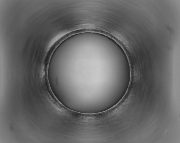 X0000111351070200907171138