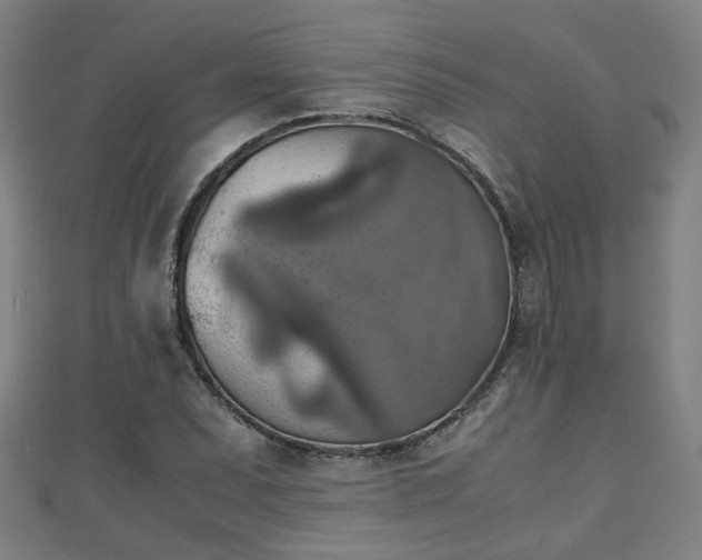 X0000111351071200907171138