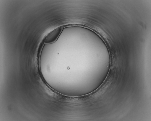 X0000111351072200907171138