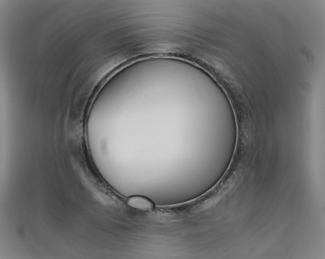 X0000111351073200907171138