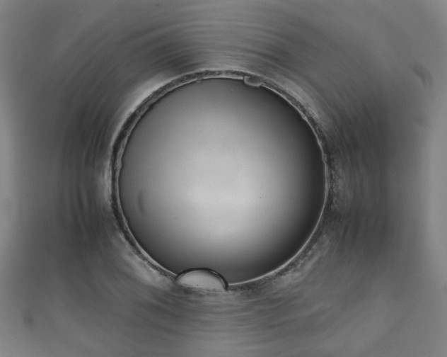 X0000111351076200907171138