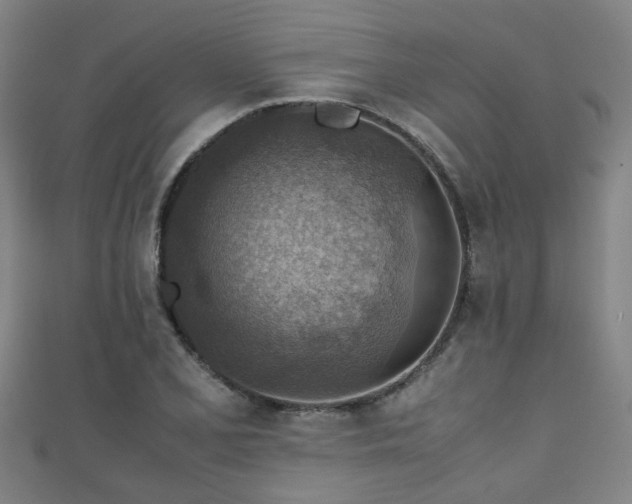 X0000111351077200907171138