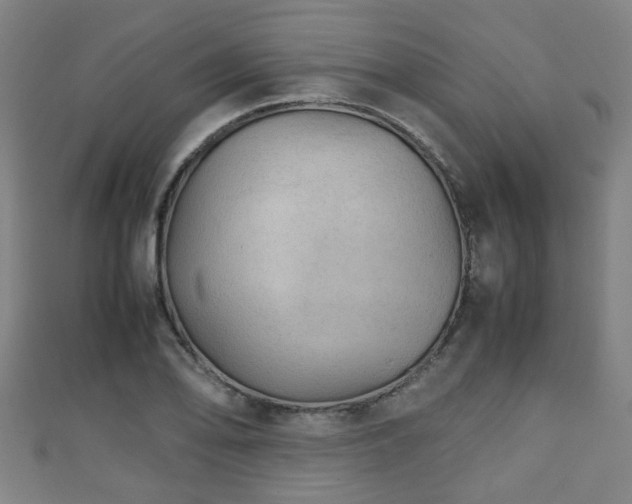 X0000111351078200907171138