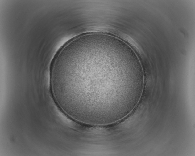 X0000111351079200907171138