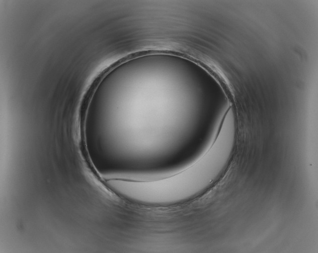 X0000111351080200907171138