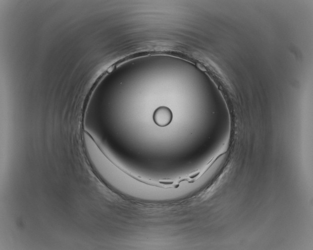 X0000111351081200907171138