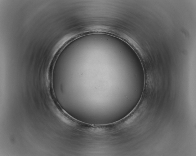 X0000111351082200907171138