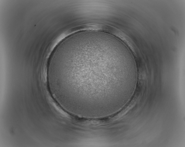 X0000111351083200907171138