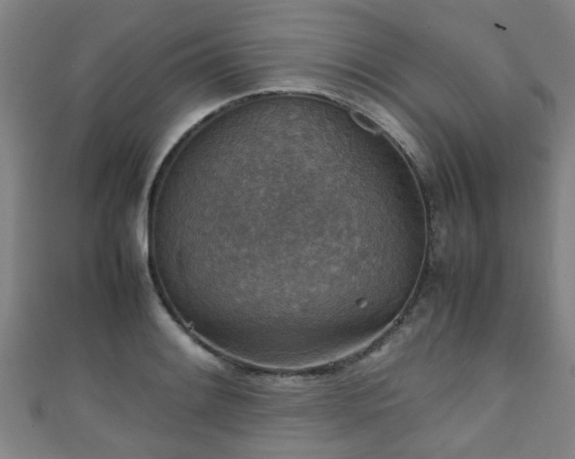 X0000111351084200907171138