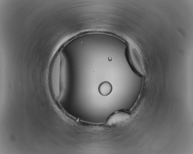 X0000111351085200907171138