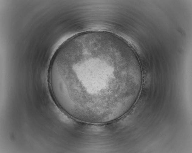 X0000111351086200907171138