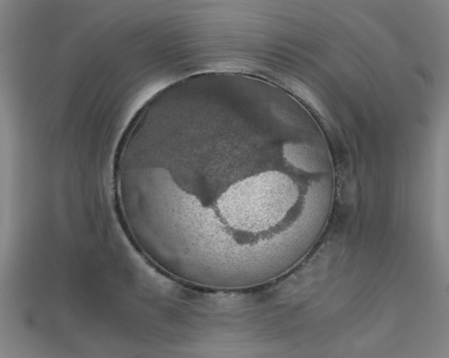 X0000111351087200907171138