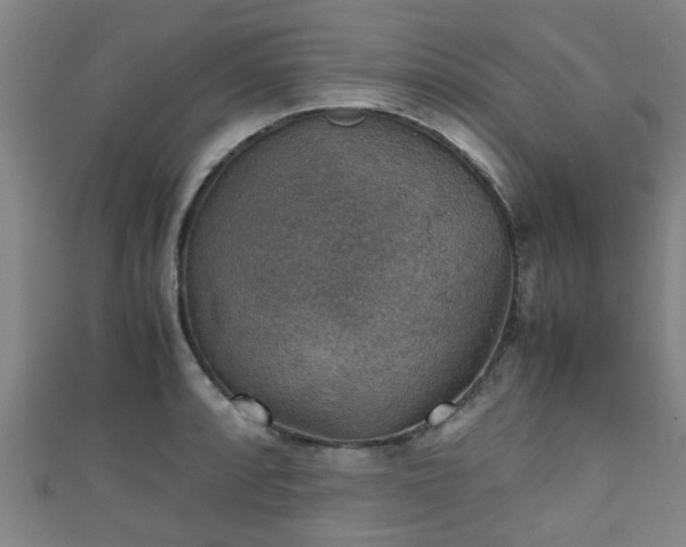 X0000111351088200907171138