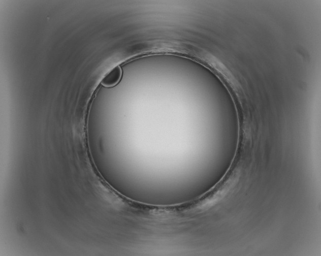 X0000111351089200907171138