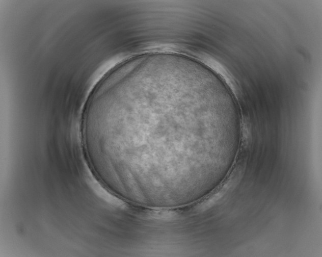 X0000111351090200907171138