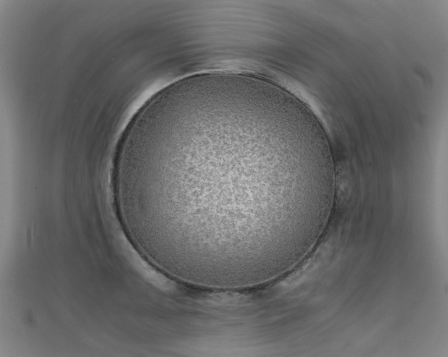 X0000111351091200907171138