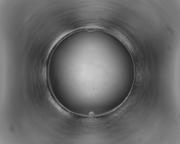 X0000111351092200907171138