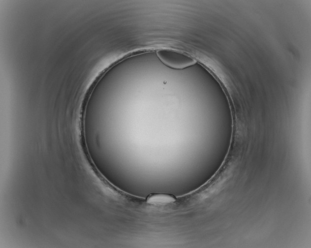 X0000111351093200907171138