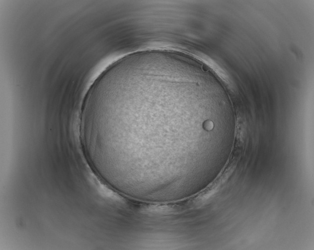 X0000111351094200907171138